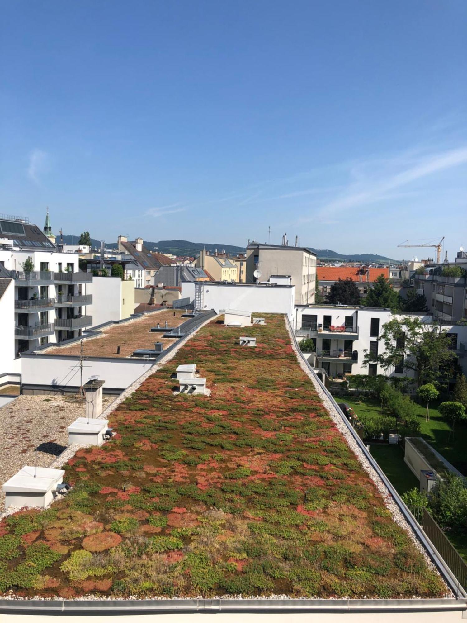 Apartament Sunny Side Up Viena